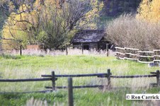 Enlarge photo 66