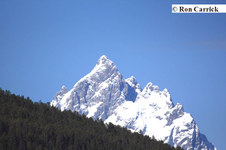 Enlarge photo 42