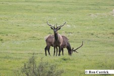 Enlarge photo 94