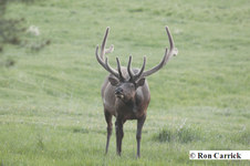 Enlarge photo 95