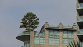 Enlarge photo 47