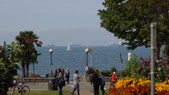 Enlarge photo 49
