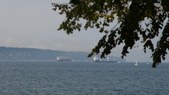 Enlarge photo 51