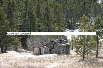 Enlarge photo 20