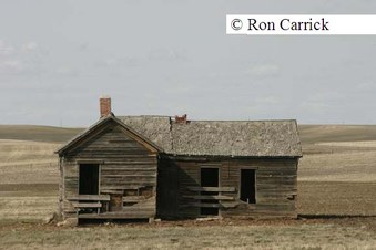 Enlarge photo 28
