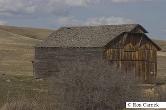 Enlarge photo 29