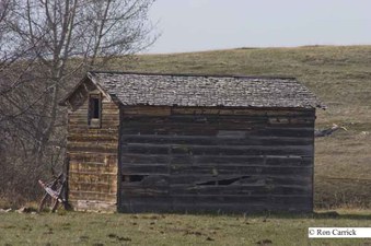 Enlarge photo 31