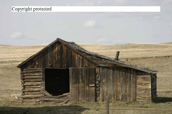 Enlarge photo 32