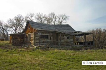 Enlarge photo 35