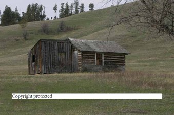 Enlarge photo 44