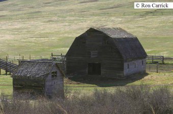 Enlarge photo 45