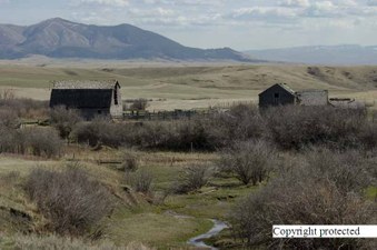 Enlarge photo 48