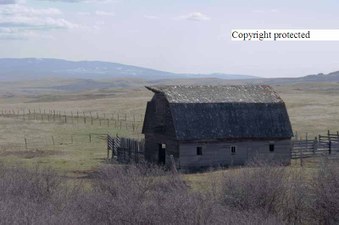 Enlarge photo 49