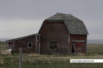 Enlarge photo 51