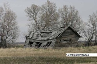 Enlarge photo 52