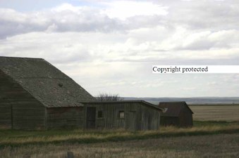 Enlarge photo 54