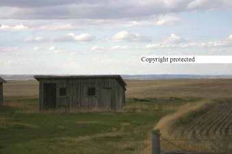 Enlarge photo 55