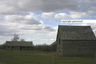 Enlarge photo 56
