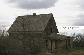 Enlarge photo 58