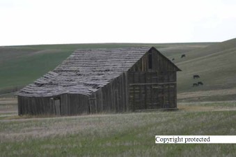 Enlarge photo 59