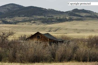 Enlarge photo 61