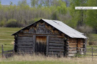 Enlarge photo 63
