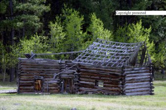 Enlarge photo 64