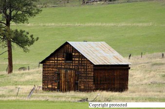 Enlarge photo 65