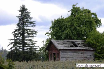 Enlarge photo 67