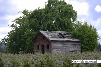 Enlarge photo 68