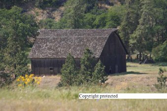 Enlarge photo 69