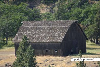 Enlarge photo 70