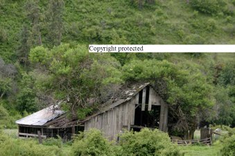 Enlarge photo 71