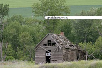 Enlarge photo 72