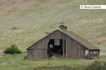 Enlarge photo 73