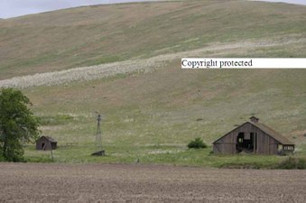 Enlarge photo 74