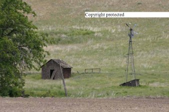 Enlarge photo 75
