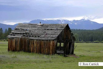 Enlarge photo 78