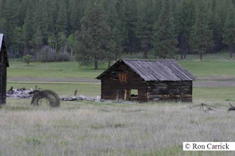Enlarge photo 79