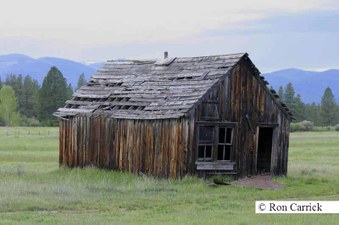 Enlarge photo 80