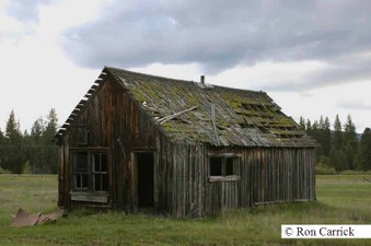 Enlarge photo 81