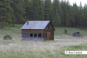Enlarge photo 82
