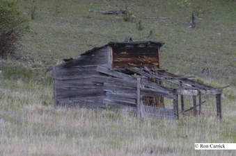 Enlarge photo 84