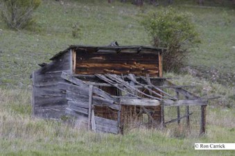 Enlarge photo 85