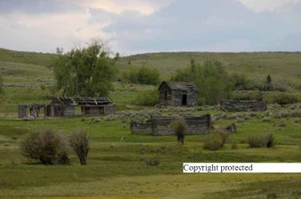 Enlarge photo 87