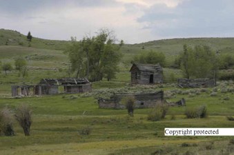 Enlarge photo 88