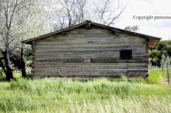 Enlarge photo 91