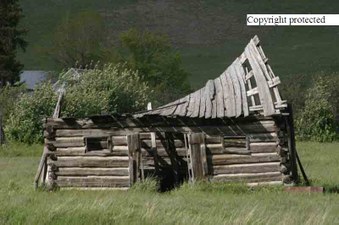 Enlarge photo 97