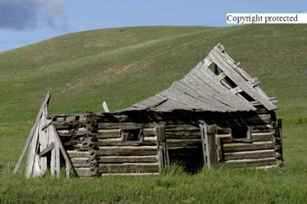 Enlarge photo 98