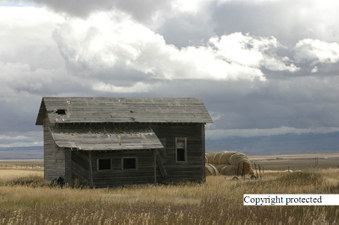 Enlarge photo 100
